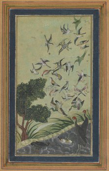 Birds at Baran, possibly from the Babur-nama, late 16th century. Creator: Unknown.