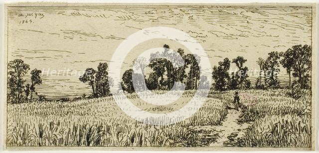 Wheat Field, 1844. Creator: Charles Emile Jacque.