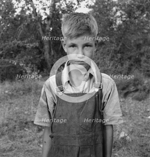 Migratory boy in squatter camp, Washington, Yakima Valley, 1939. Creator: Dorothea Lange.