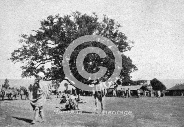 ''Le ficus geant de la place du marche d'Addis-Abeba; Le Nord-Est Africain', 1914. Creator: Charles Chusseau-Flaviens.