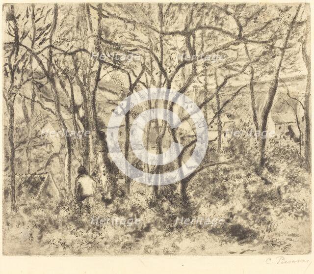 Wooded Landscape at L'Hermitage, Pontoise (Paysage sous bois, a L'Hermitage, Pontoise), 1879. Creator: Camille Pissarro.