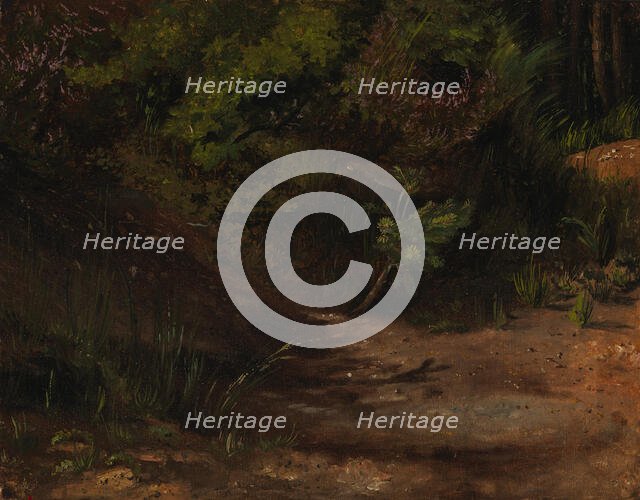 Sand land, exercise, 1854. Creator: Werner Holmberg.