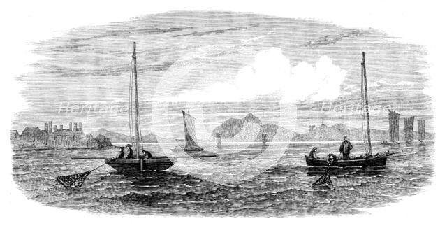 The Shellfish Supplies: oyster-boats dredging off Prestonpans, 1862. Creator: Unknown.