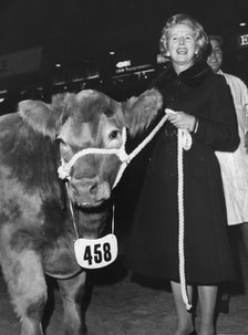 Margaret Thatcher visits the Royal Smithfield Show at Earl's Court, 2nd December 1975. Artist: Unknown