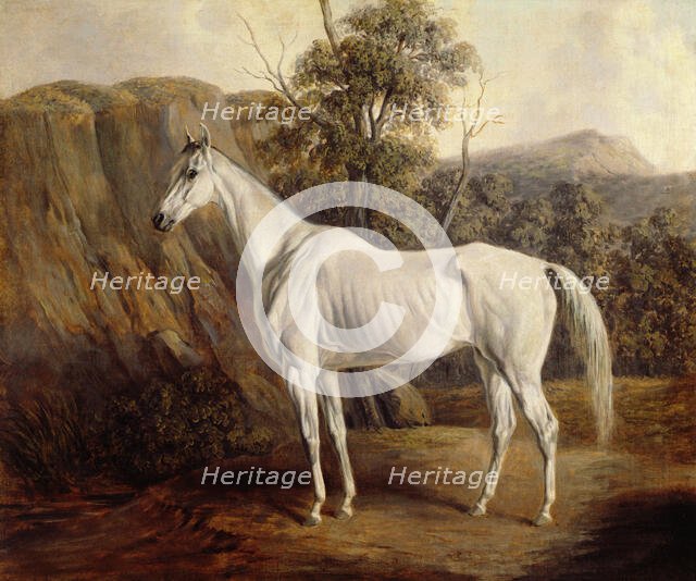 Bolivia, 1836. Creator: Edward Troye.