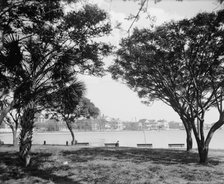 Colonial Lake, Charleston, S.C., between 1900 and 1910. Creator: Unknown.