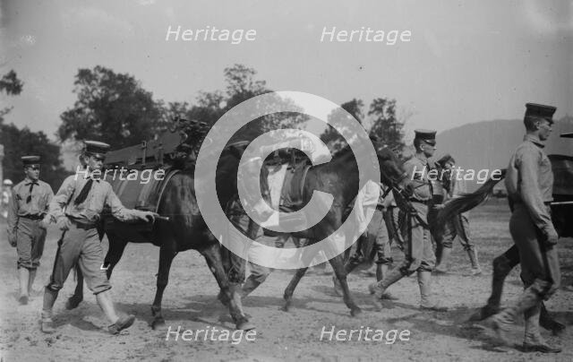 West Point Mountain Gun Squad, 1913. Creator: Bain News Service.