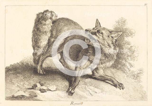 Renard (Fox). Creator: Jacques Philippe Le Bas.