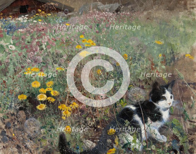 Cat on a flowery meadow, 1887. Creator: Bruno Liljefors.