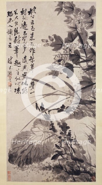 Hibiscus, Lotus, and Rock, ca. 1705-7. Creator: Shitao.