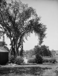 A Glimpse of the Resumpscot [sic] River, Riverton Park, Portland, Me., between 1900 and 1915. Creator: Unknown.