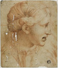 Female Head in Profile, Facing Right, n.d. Creator: After Workshop of Raffaello Sanzio, called Raphael.