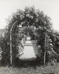 Unidentified garden, between 1910 and 1935. Creator: Frances Benjamin Johnston.