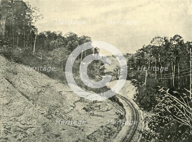 'In the Blackall Ranges', 1901. Creator: Unknown.