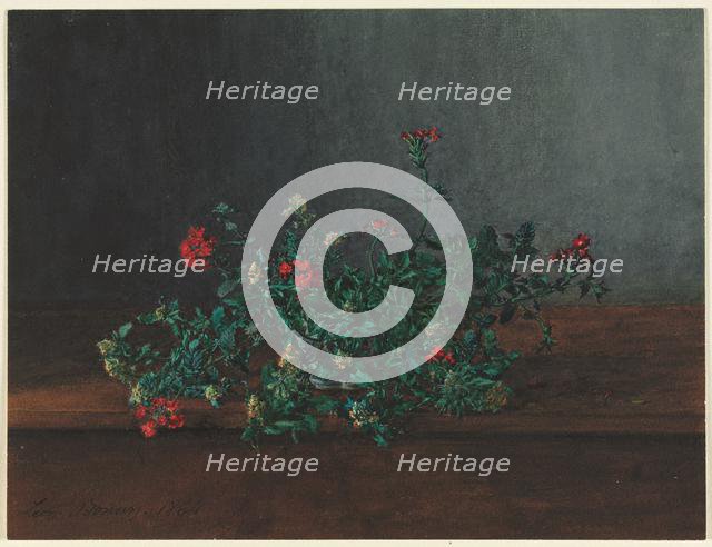 Still Life with Wild Flowers, 1864. Creator: Léon Bonvin (French, 1834-1866).