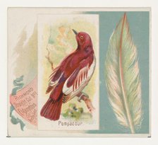 Pompadour, from the Song Birds of the World series (N42) for Allen & Ginter Cigarettes, 1890. Creator: Allen & Ginter.