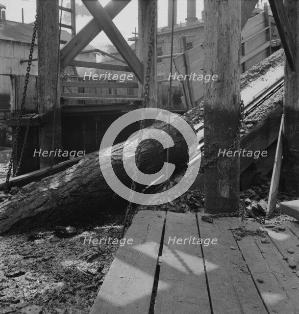 At Pelican Bay Lumber mill logs enter..., near Klamath Falls, Klamath County, Oregon, 1939 Creator: Dorothea Lange.