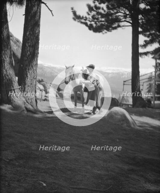 Travel views of Yosemite National Park, between 1903 and 1906. Creator: Arnold Genthe.