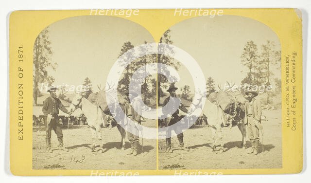 Mountain transportation. Pack mule, Pack and Packers, 1871. Creator: Tim O'Sullivan.