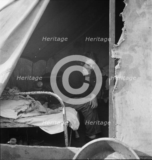 Daughter of migrant Tennessee coal miner, living in the American River Camp..., CA, 1936. Creator: Dorothea Lange.