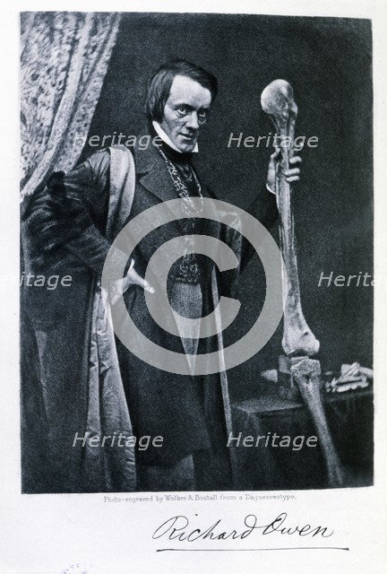 Richard Owen (1804-1892), English zoologist and anatomical, curator of the Royal College of Surge…