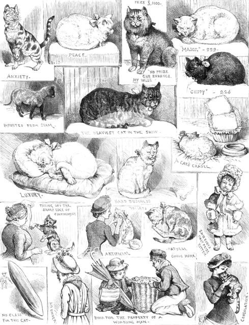 Sketches of the Cat Show at the Crystal Palace, 1883. Creator: Unknown.