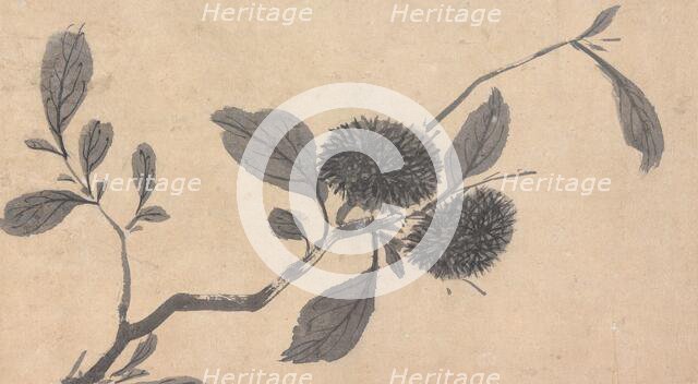 Fruit, unknown date, c1450-1509. Creator: Shen Zhou.