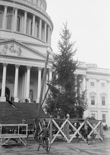 Christmas Trees - Christmas Tree At Capitol, 1913. Creator: Harris & Ewing.