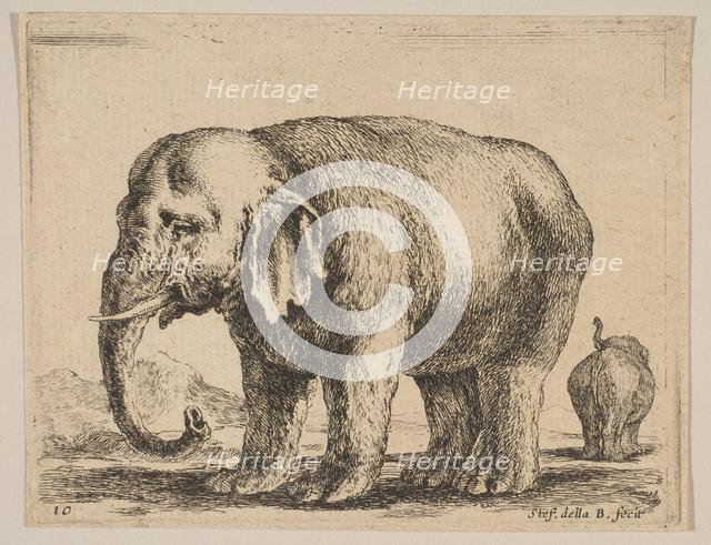 Plate 10: elephant, from 'Various animals' (Diversi animali), ca. 1641. Creator: Stefano della Bella.