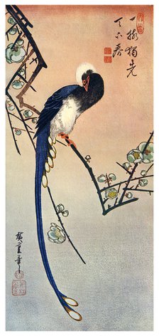 'Long Tailed Blue Bird on Branch of Plum Tree in Blossom', 19th century (1925). Artist: Unknown