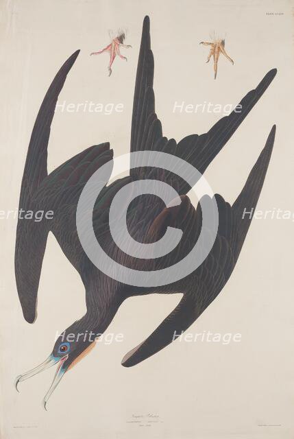 Frigate Pelican, 1835. Creator: Robert Havell.