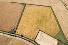 Cropmark remains of a large sub-circular enclosure, Oxfordshire, 2017. Creator: Damian Grady.