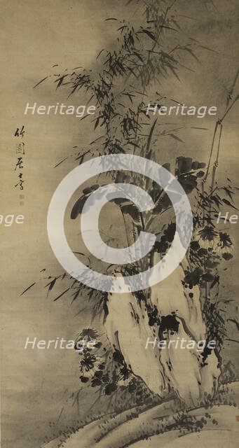 Bamboo. Creator: Unknown.