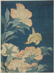 Canary and Peony (Kanaari, shakuyaku), from an untitled series of flowers and birds, Japan, c. 1834. Creator: Hokusai.