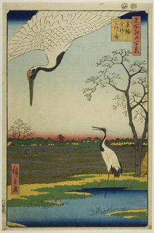 Minowa, Kanasugi, Mikawashima, from the series "One Hundred Famous Views of Edo (Meisho..., 1857. Creator: Ando Hiroshige.
