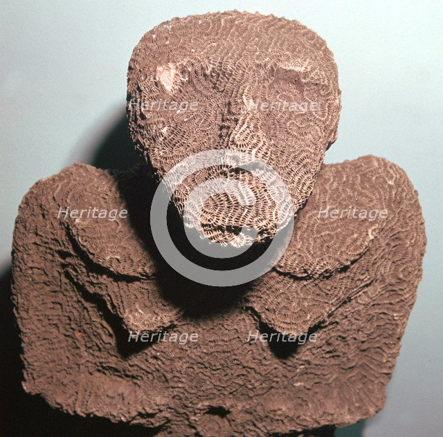 Coral figure from the Torres Straits Islands. Artist: Unknown