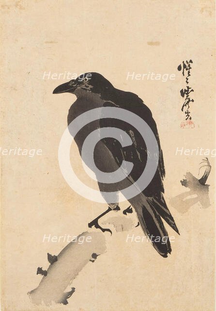 Crow on a Branch, c 1870. Creator: Kyosai, Kawanabe  .