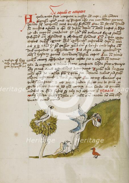 An Eagle Sitting in a Tree, a Stork with its Neck in a Hole..., third quarter of 15th century. Creator: Unknown.