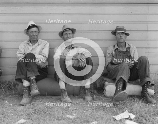 Bindle stiffs in town three weeks before opening of Klamath..., Tule Lake, Siskiyou County, CA, 1939 Creator: Dorothea Lange.