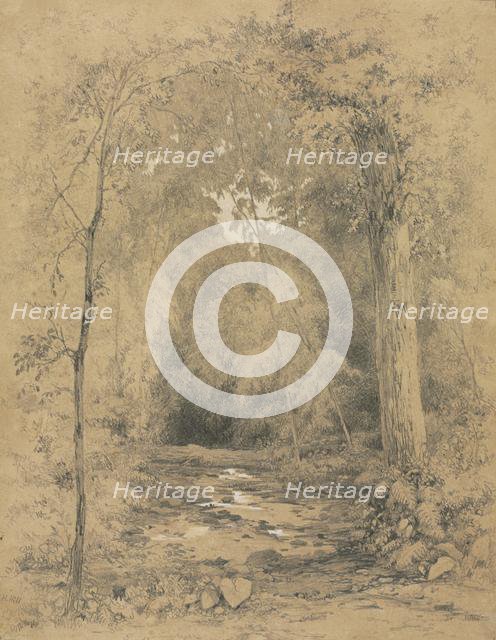 Forest Interior, c. 1870. Creator: John Henry Hill (American, 1839-1922).