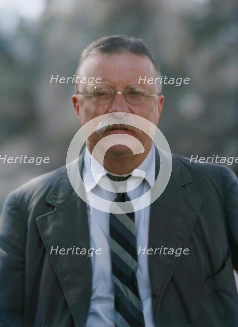 Roosevelt, Theodore, portrait photograph, 1916 Sept. 8. Creator: Arnold Genthe.