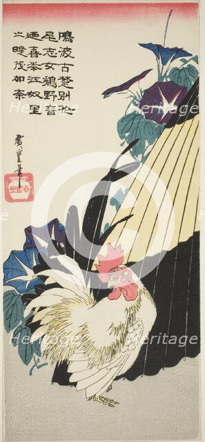 Rooster, umbrella, and morning glories, 1830s. Creator: Ando Hiroshige.