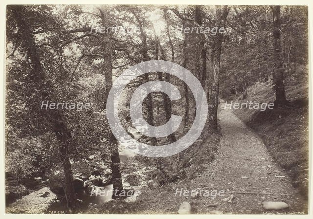 Dolgelley, View in Torrent Walk, 1860/94. Creator: Francis Bedford.