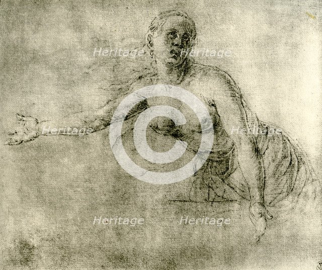 A study, 1913. Artist: Albrecht Dürer