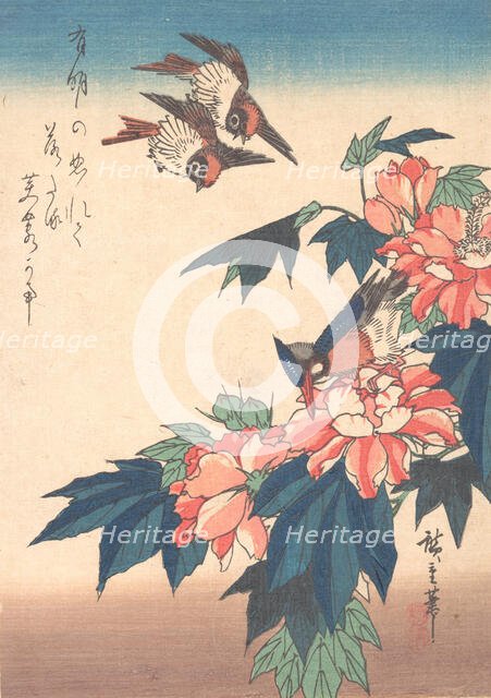 Swallows and Kingfisher with Rose Mallows , ca. 1838., ca. 1838. Creator: Ando Hiroshige.