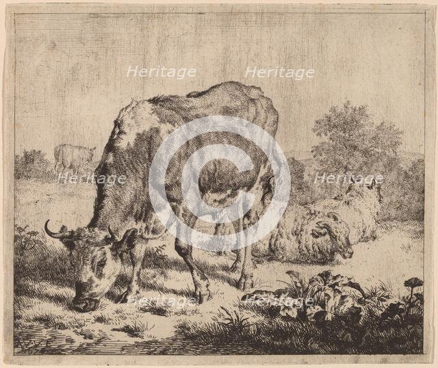Spotted Bull and Three Sheep, 1670. Creator: Adriaen van de Velde.