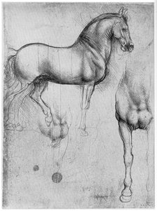 Studies of Horses, c1490 (1954). Artist: Leonardo da Vinci