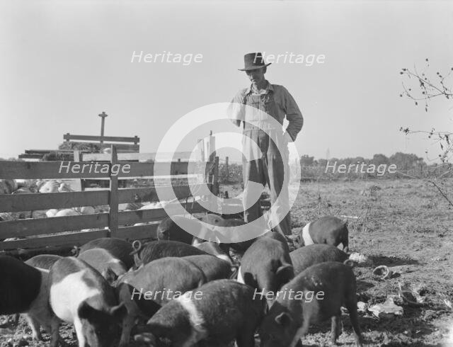 Farm Security Administration (FSA) rural rehabilitation client, Tulare County, California, 1938. Creator: Dorothea Lange.