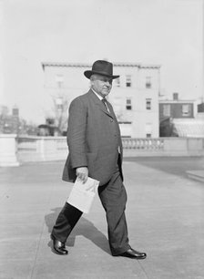 Martin David Foster, Representative from Illinois 1914. Creator: Harris & Ewing.