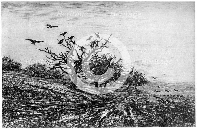 'Arbre a Corbeaux', 1840-1875, (1924). Artist: Charles François Daubigny
